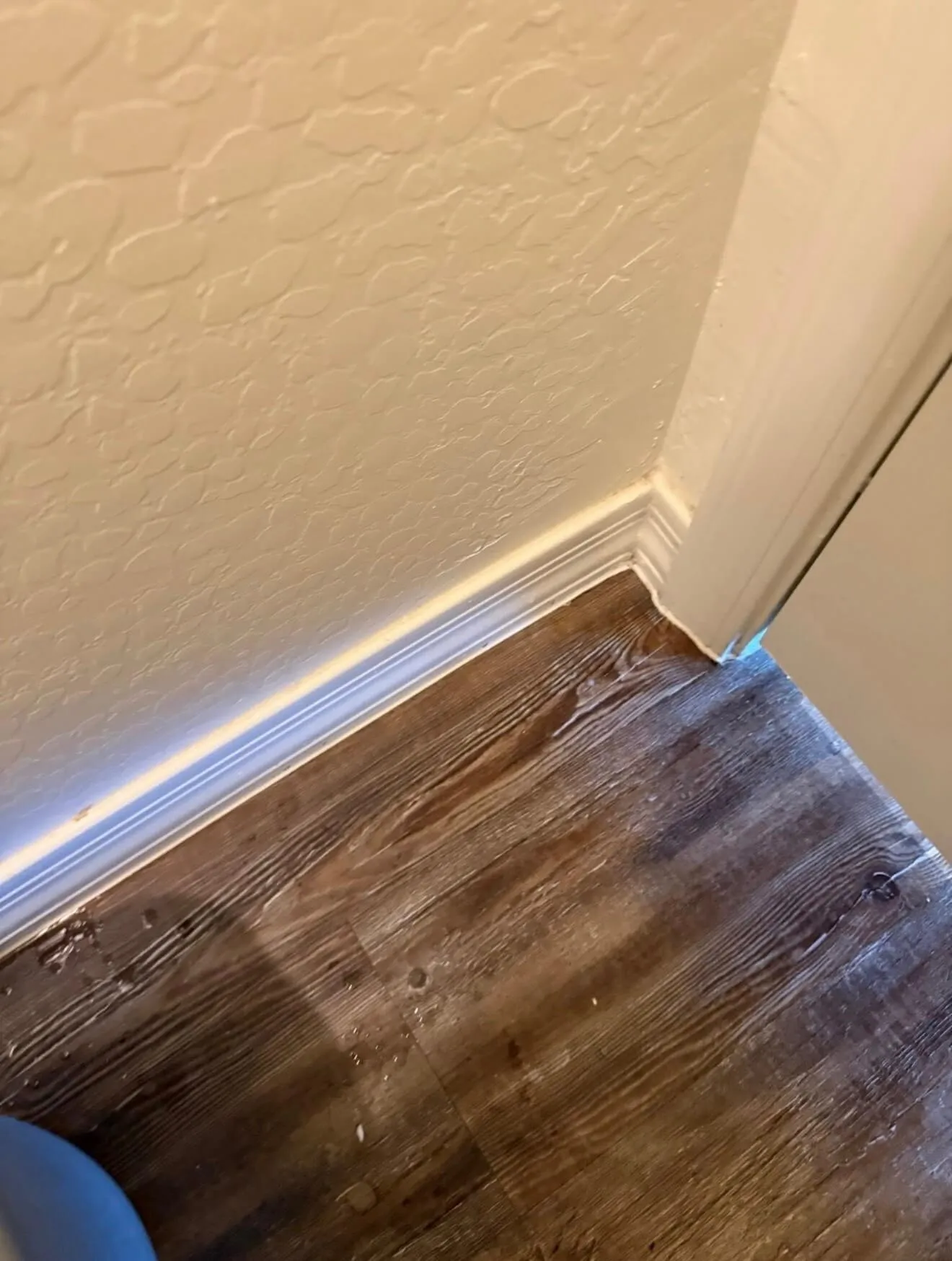 Baseboard corner after detailed cleaning